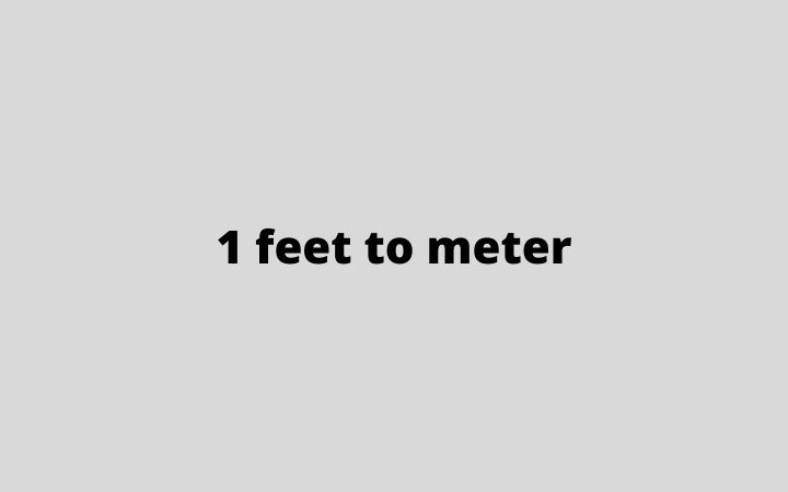 1 feet to meter